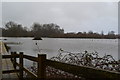 Flooded fields at Horseport