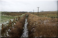 Canty Burn at Ghenty, near Kirriemuir