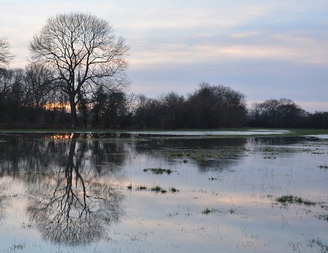 Flooded water meadow, dusk, Purley-on-Thames, Berkshire