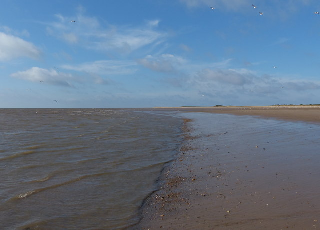 Edge of the beach at the Gibraltar Point... © Mat Fascione :: Geograph ...