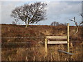 Stile giving access onto Lum Edge