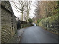 Trimmingham Lane - viewed from Plane Tree Nest Lane