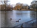 Duck pond on Barnes Green