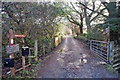 Brae Track - footpath to Innes Street