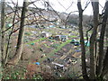 Allotments - Pye Nest Road