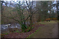 Bench beside the Ericht at the end of Riverside Road, Rattray