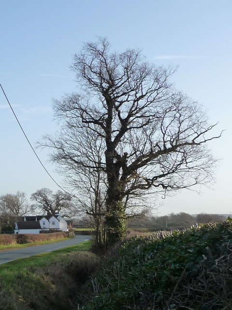 House on the western edge of Barton Green