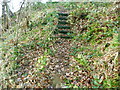 Steps on Elland FP42 (SE part)