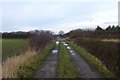 Bridleway and A1237