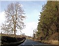 B4385 near Llwynobin