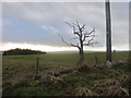 Bleak landscape above the road to Wincle