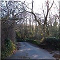 Stream bridge at East Cornworthy