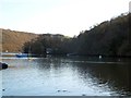 Looking downstream from the ferry pier at Dittisham