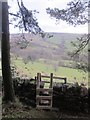 Stile & footpath leading down into the Swainsmoor valley