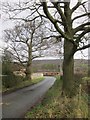 The road from Lodge Farm to Greenlane