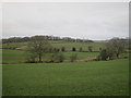 Grazing land below Intake Farm