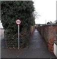 No cycling along this lane in Raglan