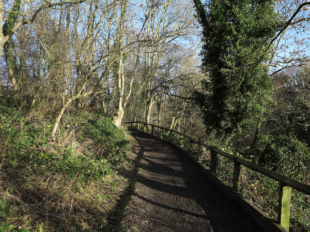 Footpath above north side of River Wear