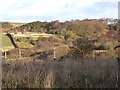 Valley of the Causey Burn