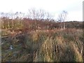 Heathland, Drumduff