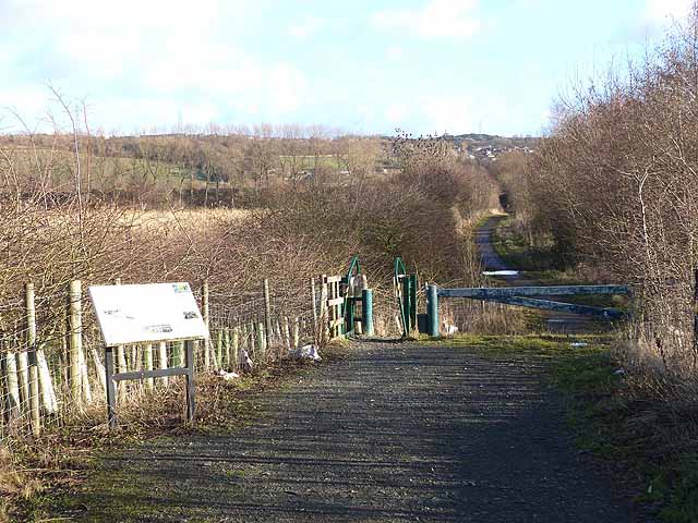 Bowes Railway Path at the Lamesley Reedbeds