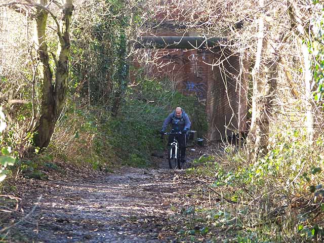 Cyclist on the Bowes Railway Path at Birtley