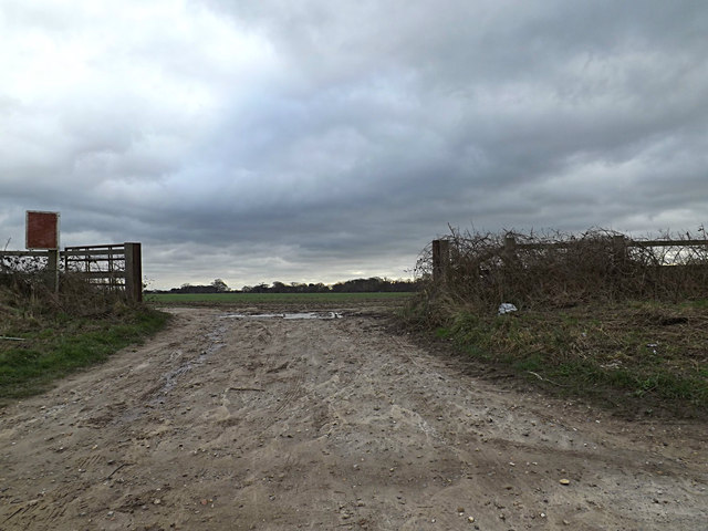 Field entrance off the A1156 Felixstowe Road