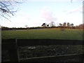 Bentley Priory fields from Bellfield Avenue