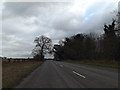 TM2240 : Felixstowe Road, Nacton by Geographer