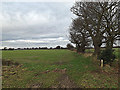 TM2440 : Fields off Felixstowe Road by Geographer