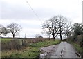 Bend in lane near quarry