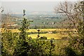 View from Bignor Hill