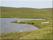 HU5141 : Loch of Brough by Richard Webb