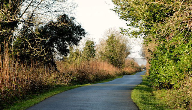 The Comber Greenway, Dundonald (3)