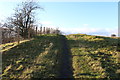 Southern Upland Way near Sanquhar