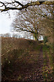 Bridleway near Lea Cottage