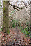 SU4919 : Bridleway north of Jamesmead Farm by Peter Facey