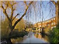 The River Colne, at Staines