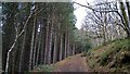 SK3095 : Ascending Pales Wood Gate in Wharncliffe Wood by Chris Morgan