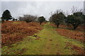 Part of the West Devon Way