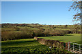 Hedge descending towards River Browney