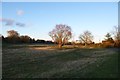 Towards Stillingfleet Beck