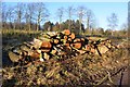 Log piles at Hare Hills