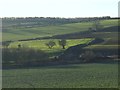 Fields by Whaley Hall Farm