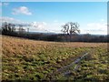 Waterlogged Path near Maywood Farm