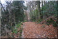 Bridleway, Moses Hill Farm