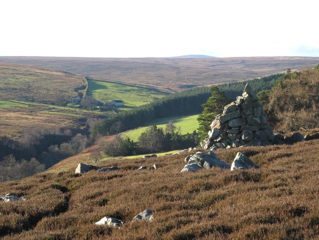 Currick on moorland east of Riddlehamhope