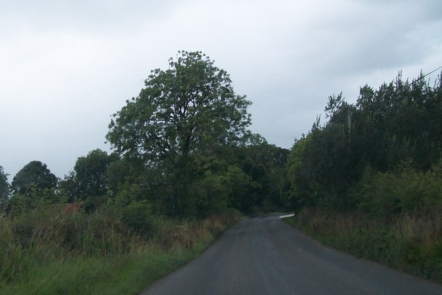The Newcastle road approaching the junction with the R191 (Bailieboro) road