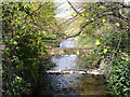 Beverley Brook enters Richmond Park