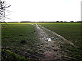 Footpath to Grimston Hall & Lane